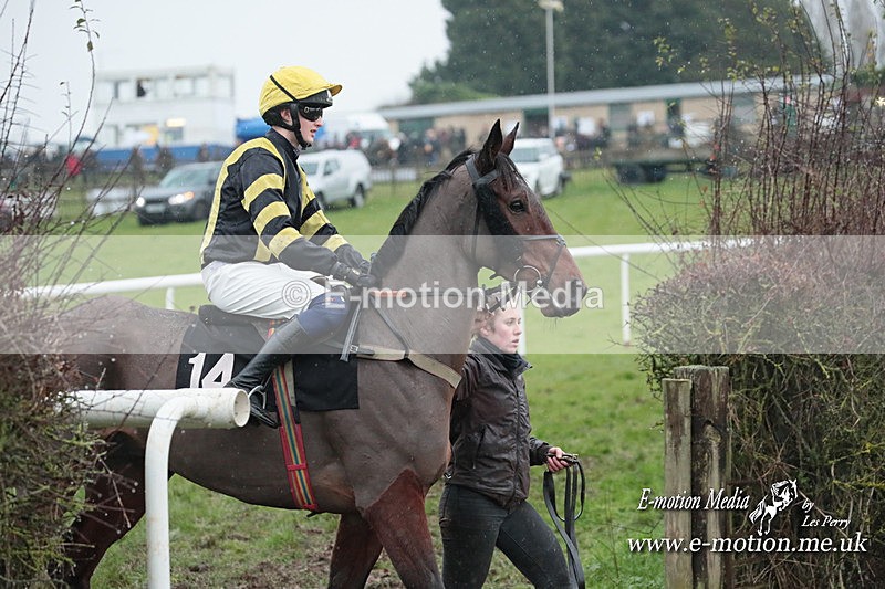PtP 031223 637 - Wheatland Hunt PtP Chaddesley Races 03/12/23
