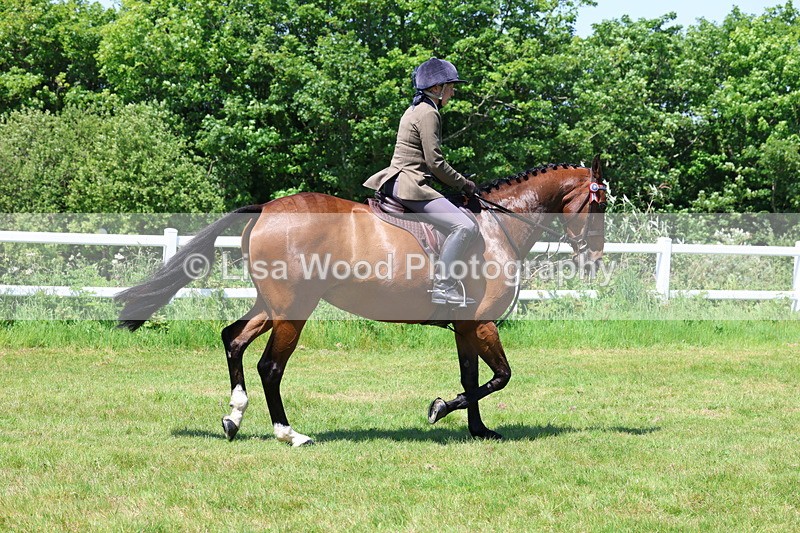 3E7A7507 - Class 31: Working Hunter Cob/Riding Horse