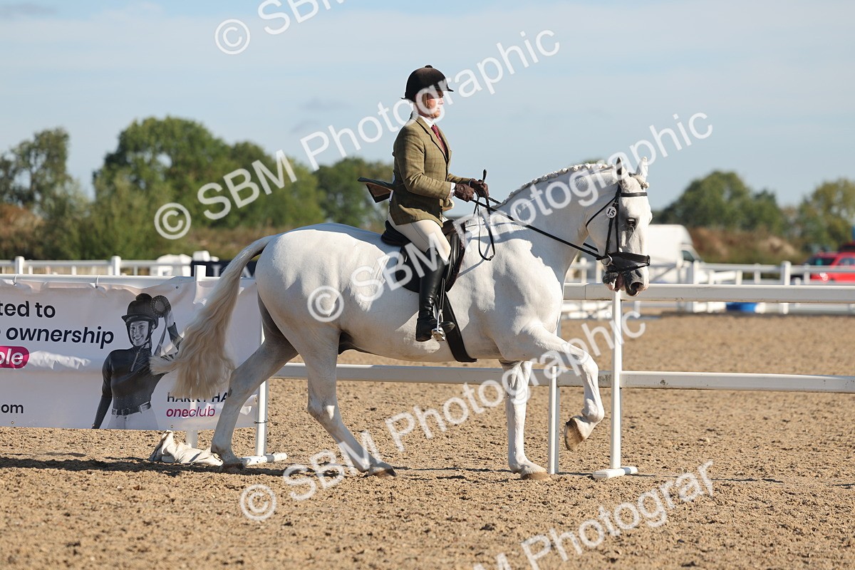 SBM_12176 - Class 303 - Ridden Pure Bred Horse Pony