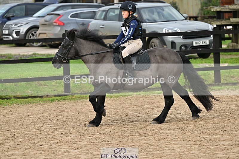 241110-111701-00384 - 50-55cm Arena Eventing