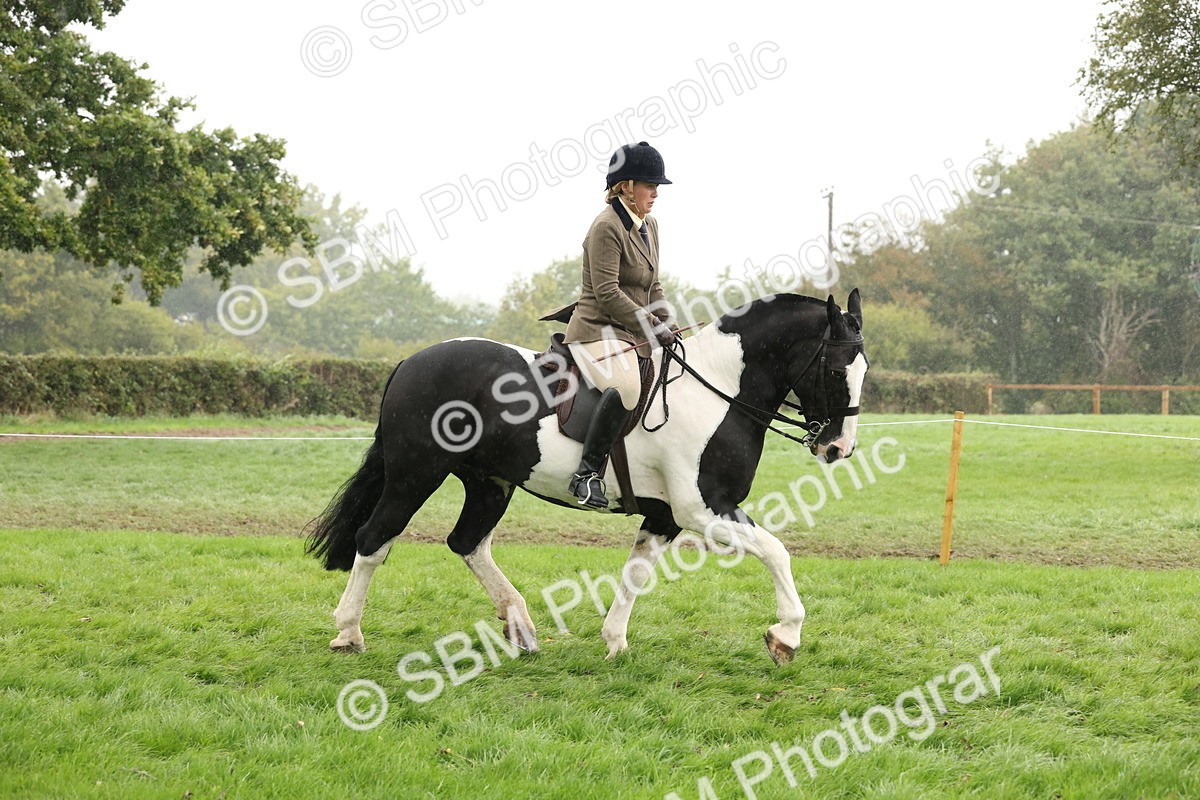 SBM_69789 - S69 - Show Cob Ridden