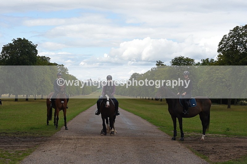 TT3_0412 - Time at Crossing 14:53 to 1526