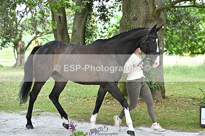 250521A-144731-00241 - A-060-Sophie.Wildern-CARTOON.HERO