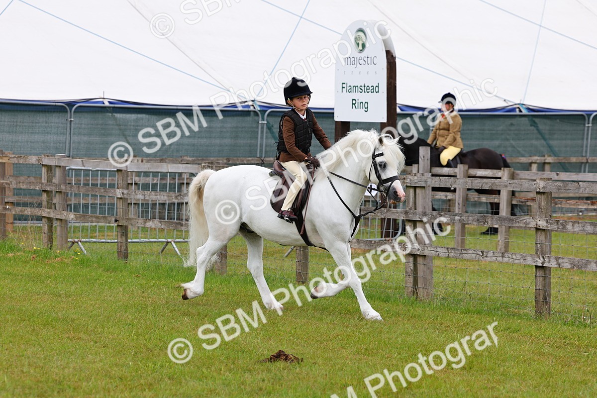SBM_08472 - Class 42-43 - LIHS BSPS Heritage Working Sports Pony