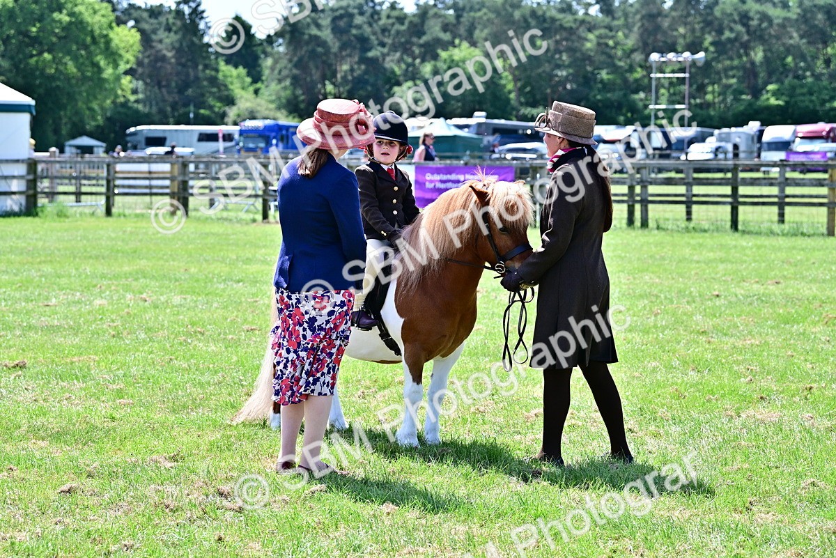 SBM_05794 - Class 59-60 - TSR M&M  Lear Rein and First Ridden Amateur of the year