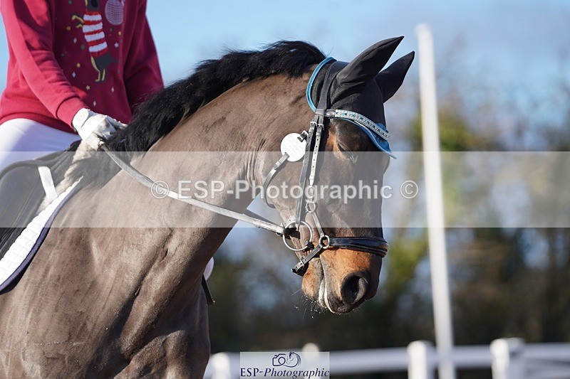 241214-134652-00663 - 132-Alys.Matravers-VORVASHILL.VERTIGO