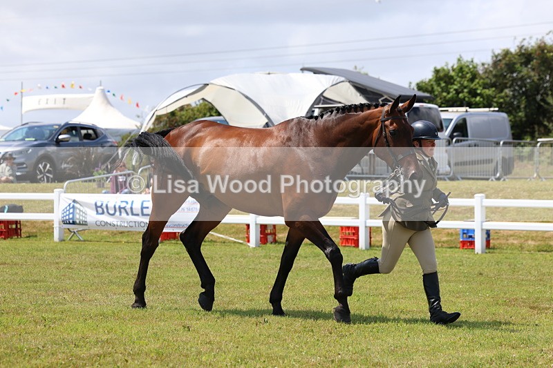 3E7A1700 - Class 9: Open Hunter