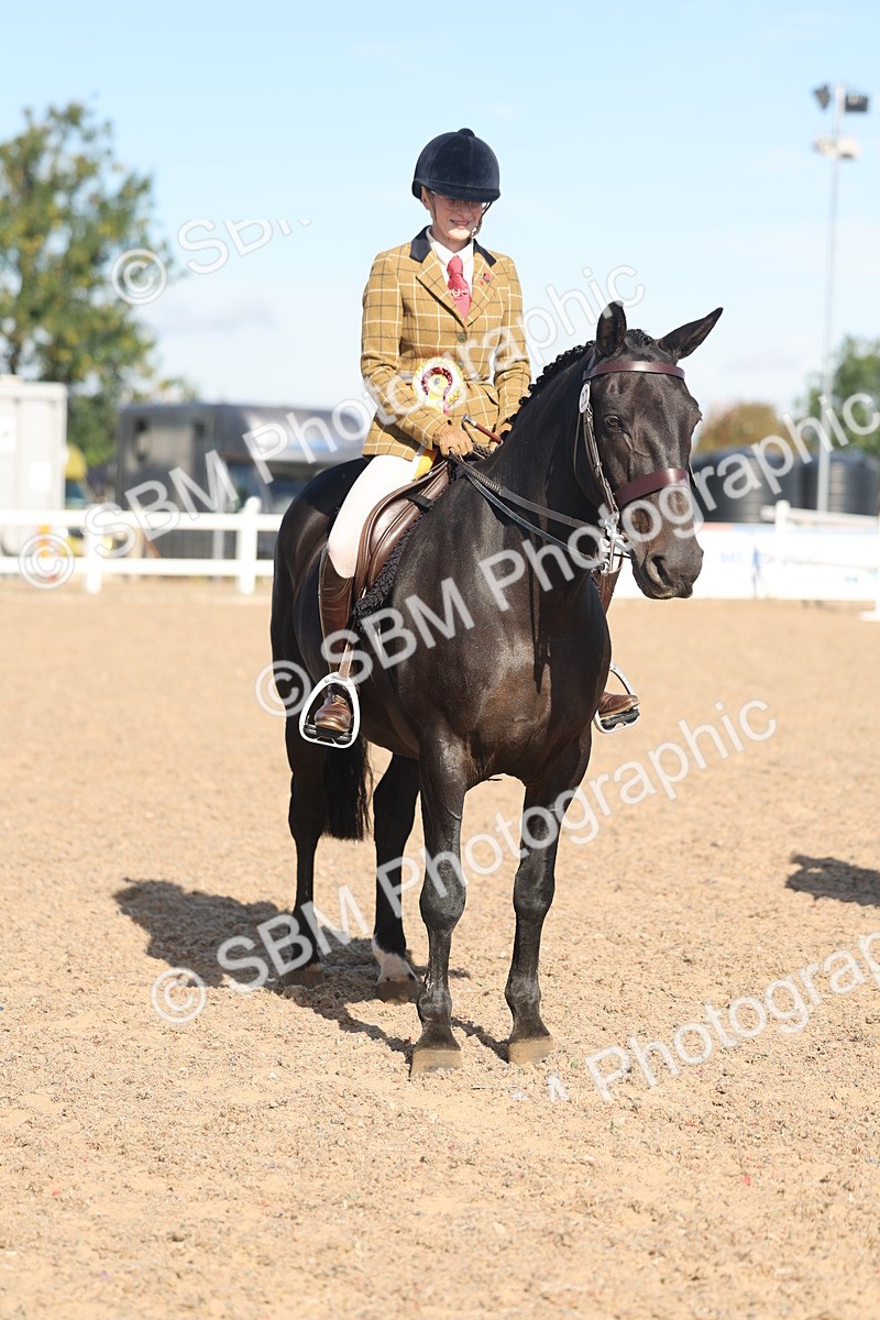 SBM_12421 - Class 304 - Ridden part Bred Horse Pony