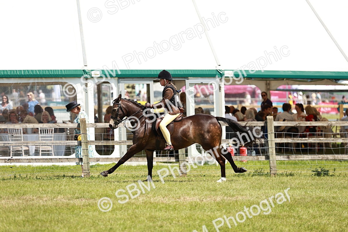 SBM_15803 - Class 108-109 - BSPS LIHS Open Gradle & Nursery Stakes