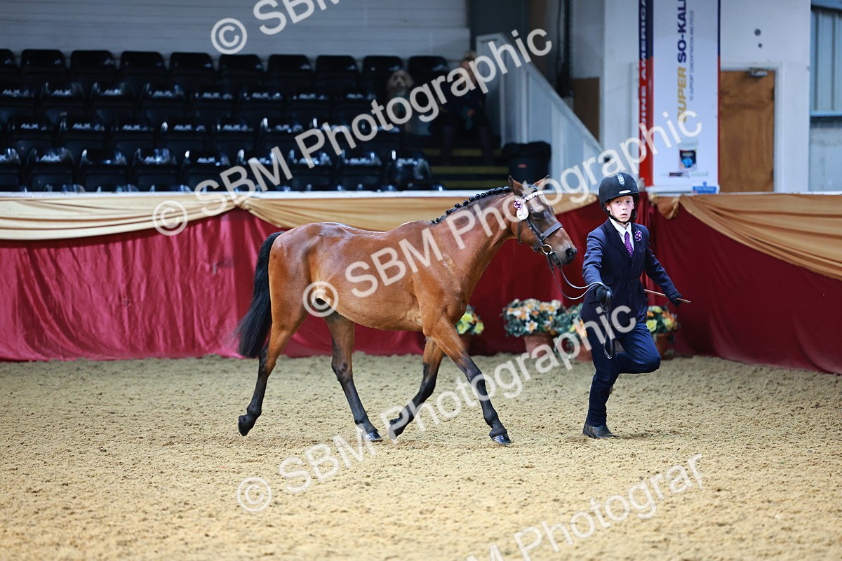 SBM_22180 - Class 902 - Supreme Final - IH Diamond