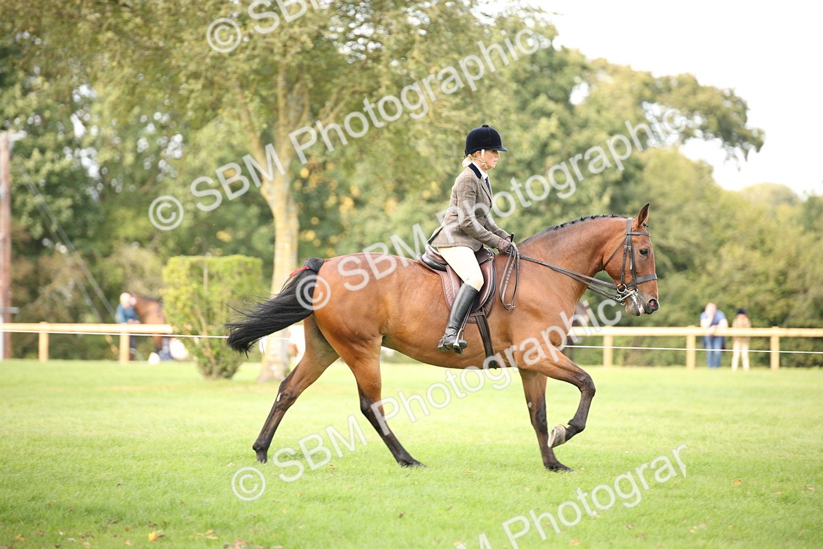 SBM_70376 - S66 - Hunter Ridden