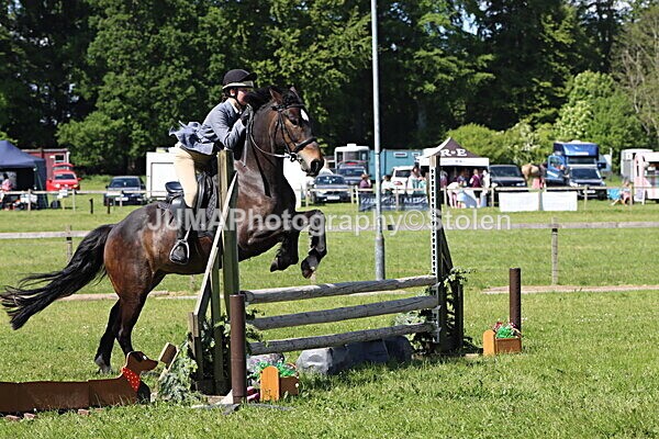 IMG_4544 - Working Hunter