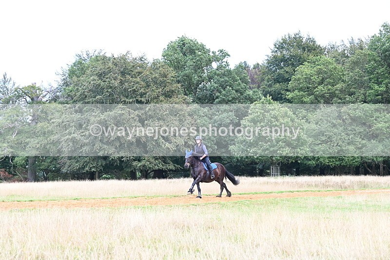 DSC_8706 - Time at Statue 13:52 to 14:33