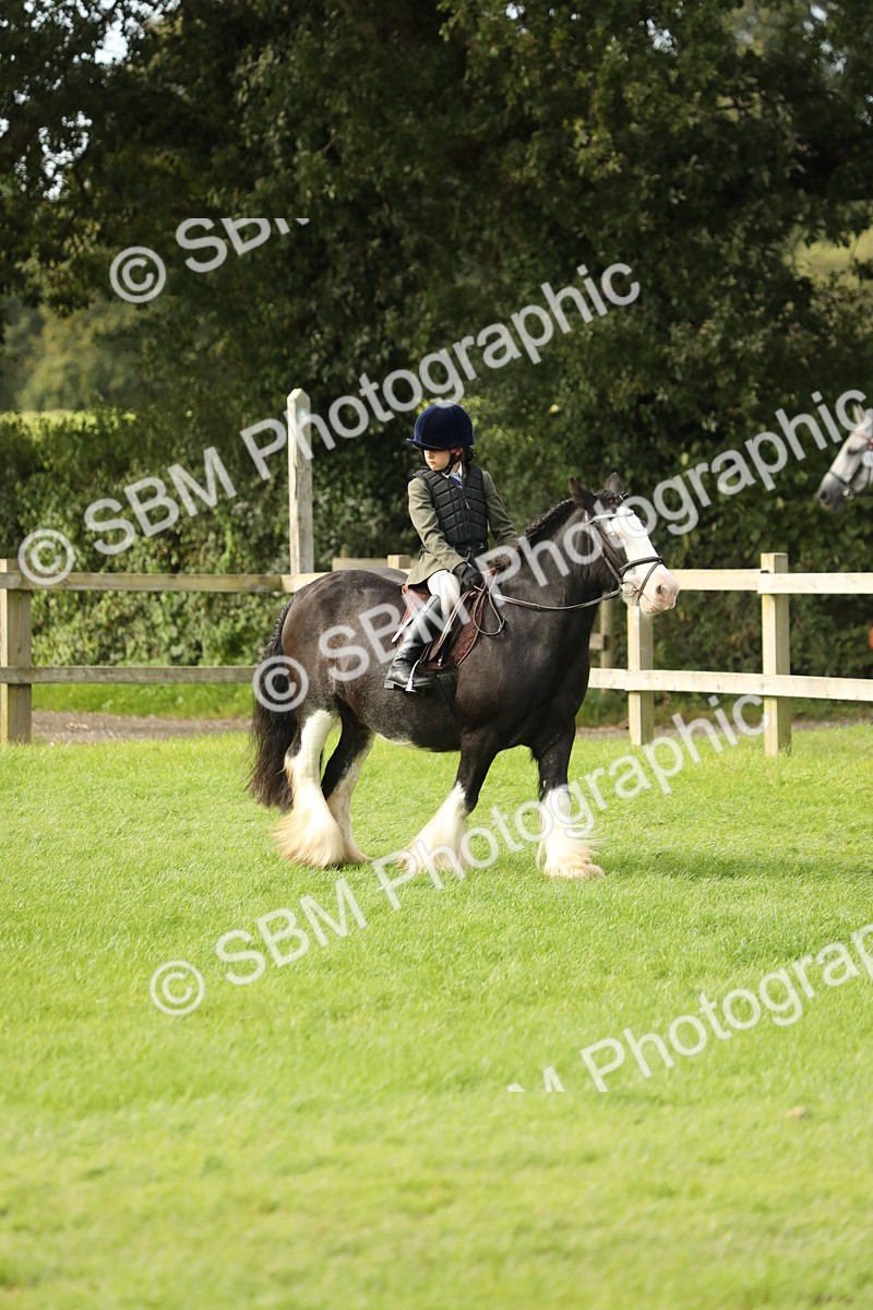 SBM_71465 - S41 - Ridden Equitation (Best Rider)