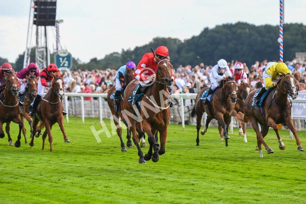 280723-Race 1-Tele Red-0063 - Race 1 5.00pm Pearly Cow Handicap