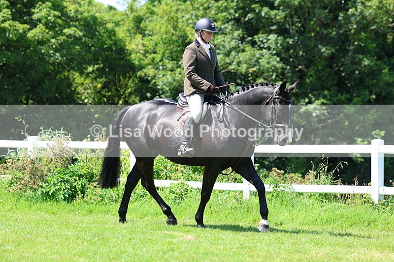 3E7A7151 - Class 30: Novice Working Hunter