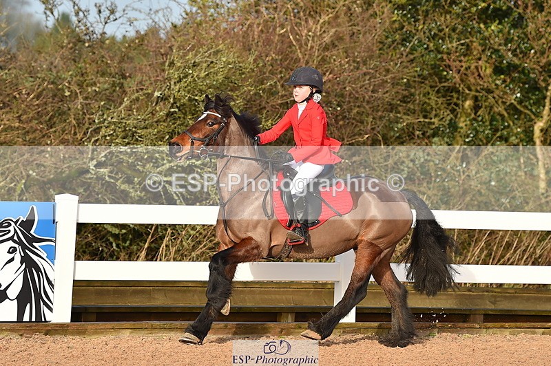 240210A-094602-00309 - Cls 3 Pony British Novice & 80cm Open