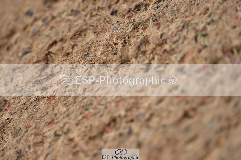 231029A-110710-02556 - Pony British Novice & 80cm Open