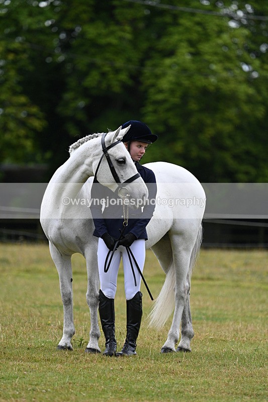 WJ7_6350 - Class 4a Prettiest Mare over 14hh