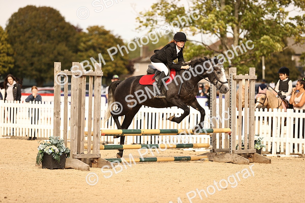 SBM_70461 - J13 - Junior Pony 60cm Championship
