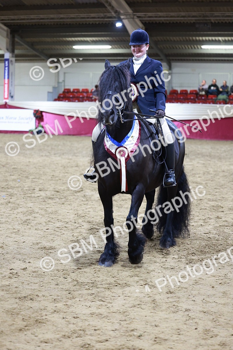 SBM_20917 - Class M - Equitation Champ