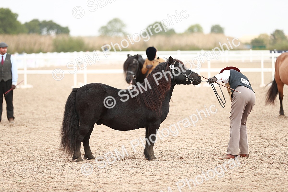 SBM_12522 - Class 207 IH M&M