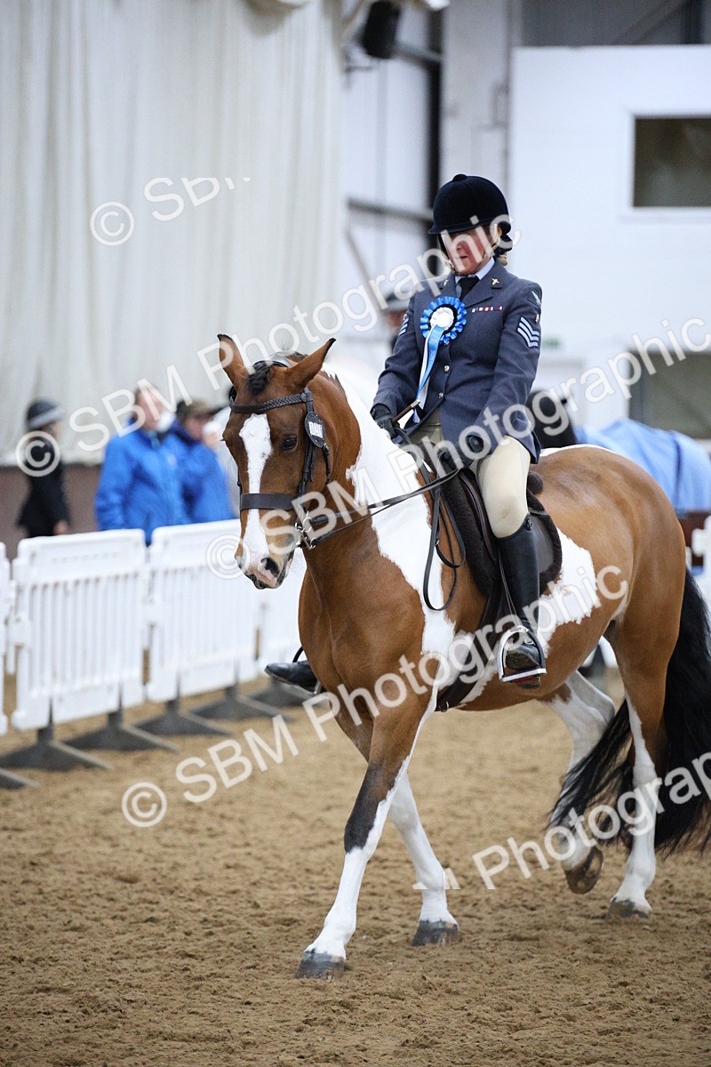 5K7A6126 - Class 48 - Ridden Mare