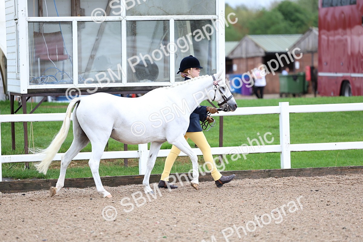 SBM_00218 - Class 13 - Young Handler