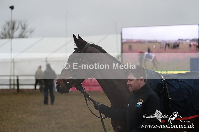 PtP 260125 137 - Cocklebarrow Point-to-Point racing with the Heythrop Hunt 26/01/25