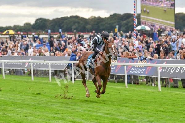 230923-Race 2-Palamon-6046 - Race 2 2.35pm jigsawsportsbranding.co.uk Handicap