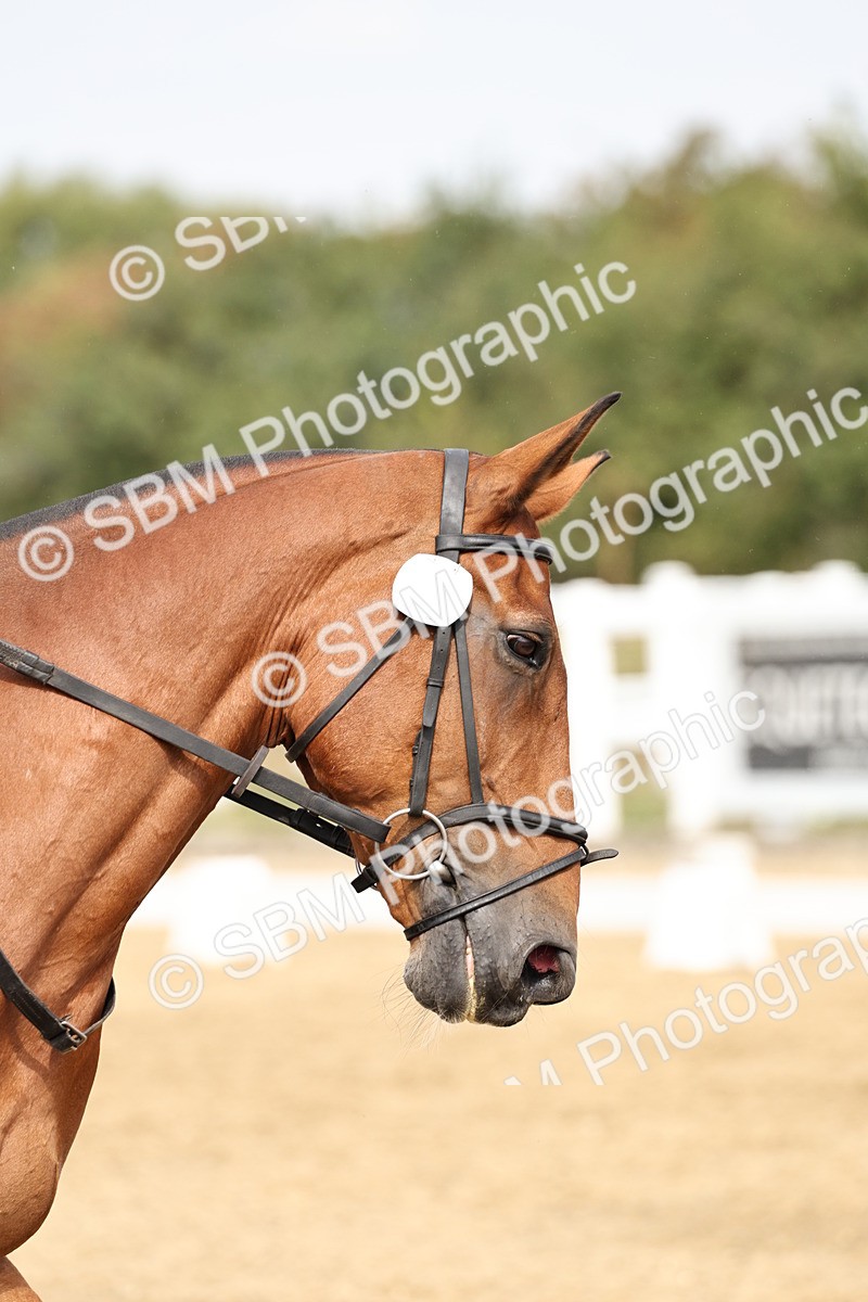 SBM_012461 - Class 2 - Prelim 5