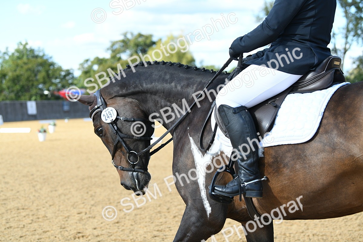 SBM_26991 - D16 - Small Tour Championship - Novice 28