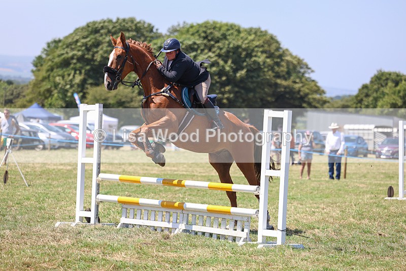 3E7A4411 - Class 10: Senior British Novice/90cm open