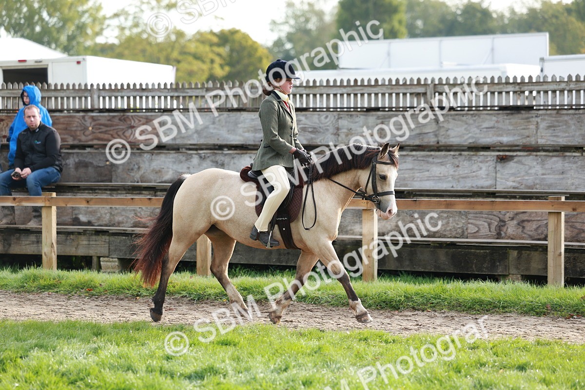 SBM_56335 - S39 - Starters In Hand Showing