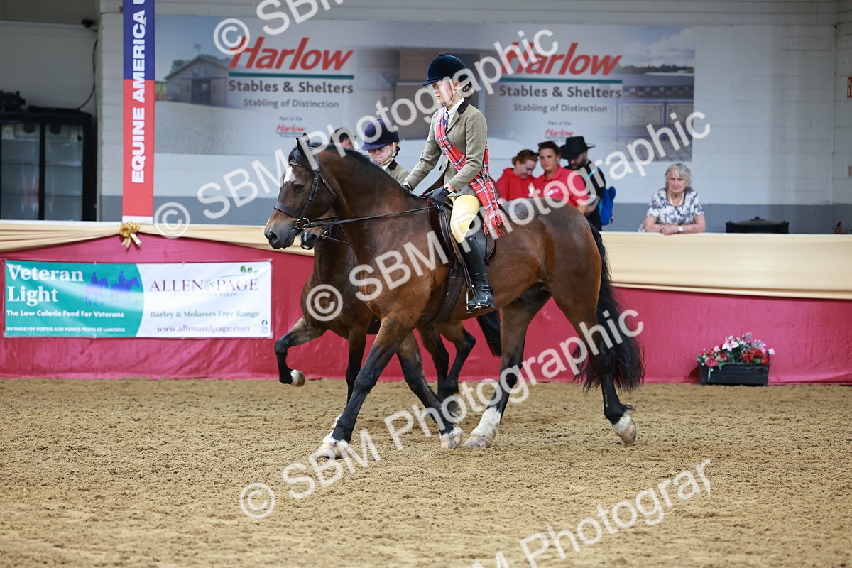 SBM_15553 - Class 109 - Ridden Pairs -Section A