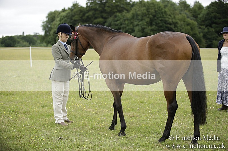 BVR160717-854 - Ring 2 BVRC Show 16/07/17