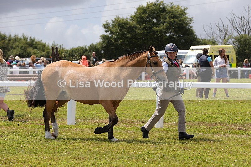 1X9A4893 - Class 35: Veteran In Hand