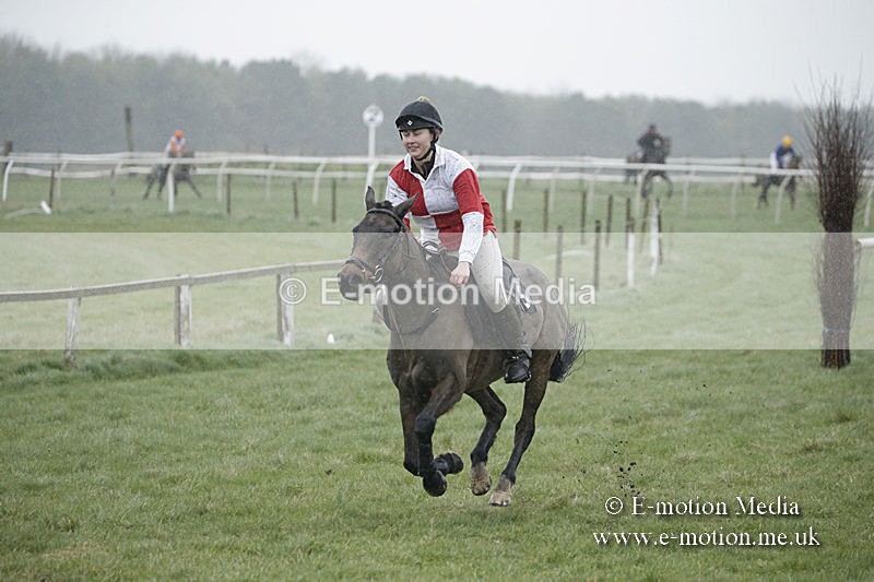 PtP 150320 0038 - New Forest Point-to-Point Larkhill 15/03/20