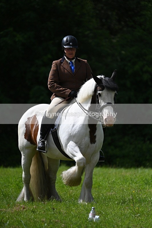 WJ7_1344 - Class 11 Condition & Turnout