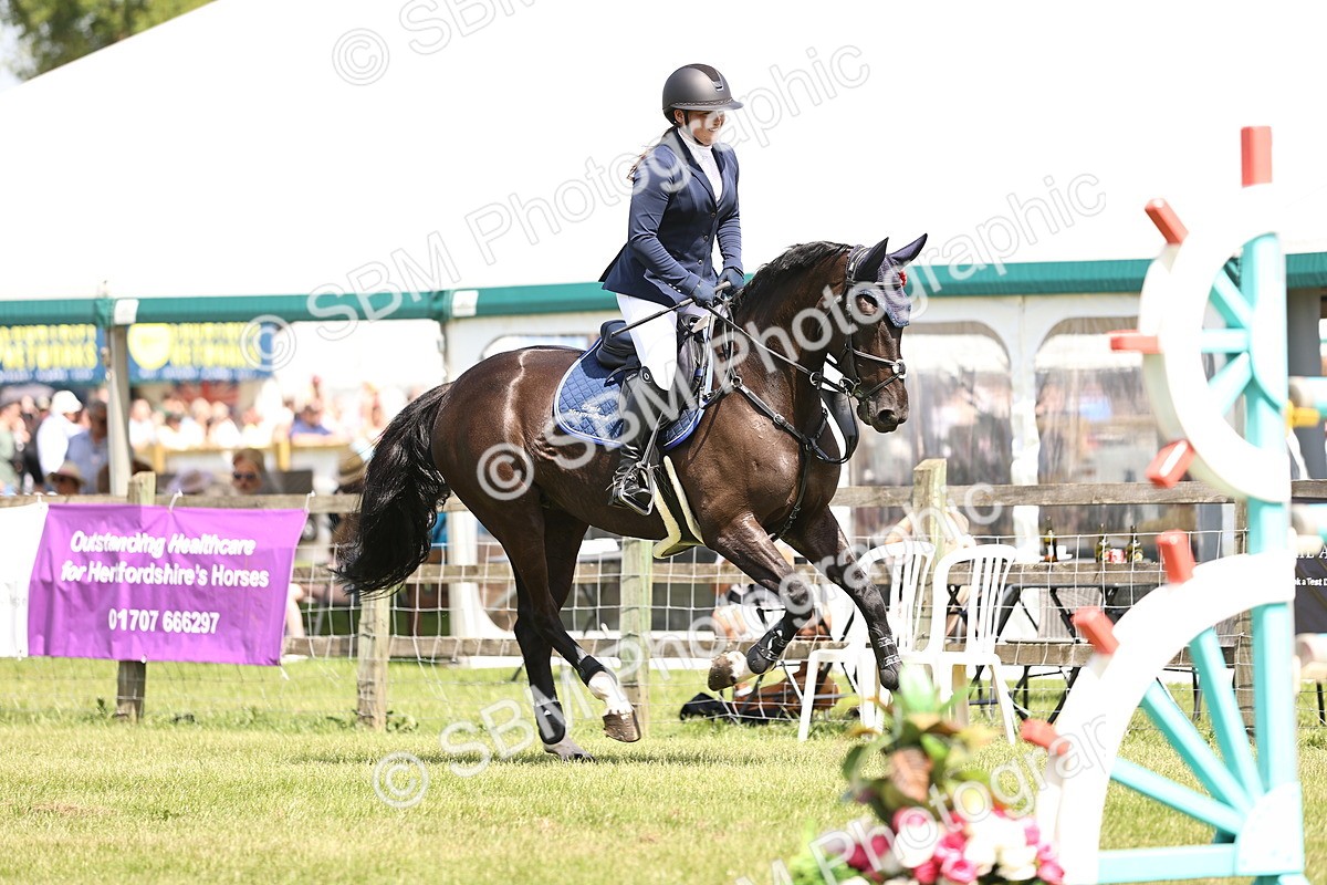 SBM_04093 - Class 201 - British Horse Feedds Speedi Beet HOYS Grade C