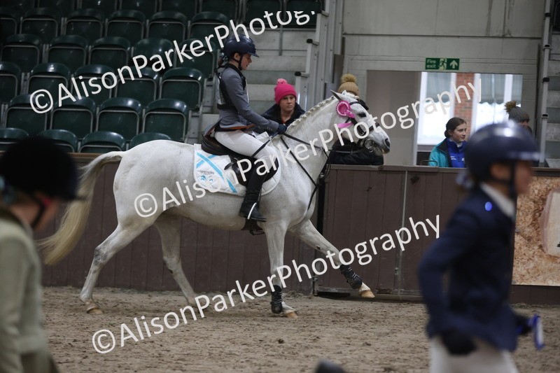 20260125-3420 - Class 3 - 60cm