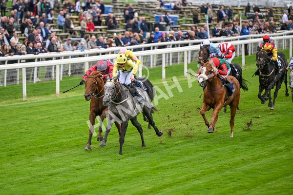 101025-Race 1-Ice Max-6178 - Race 1 William Hill Autumn Mile Handicap at York