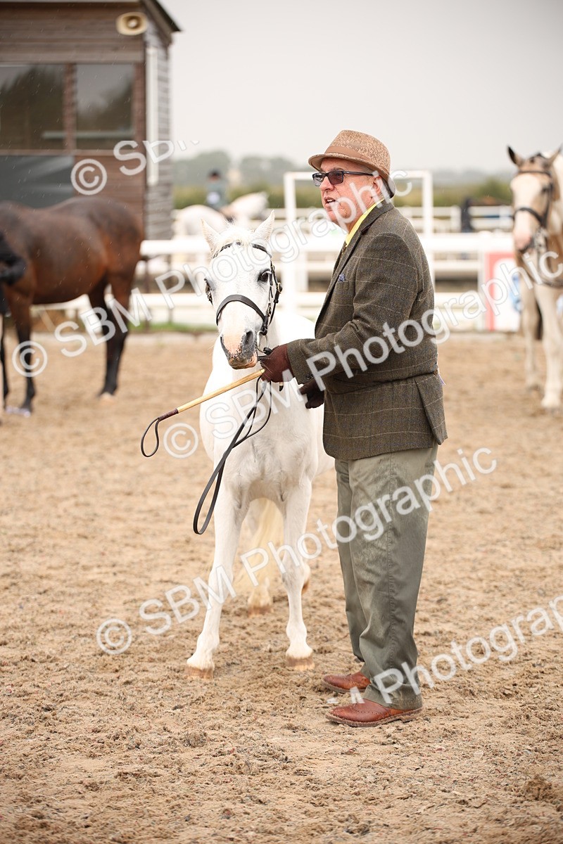 SBM_20706 - Class 705 - IH  Combination 65+