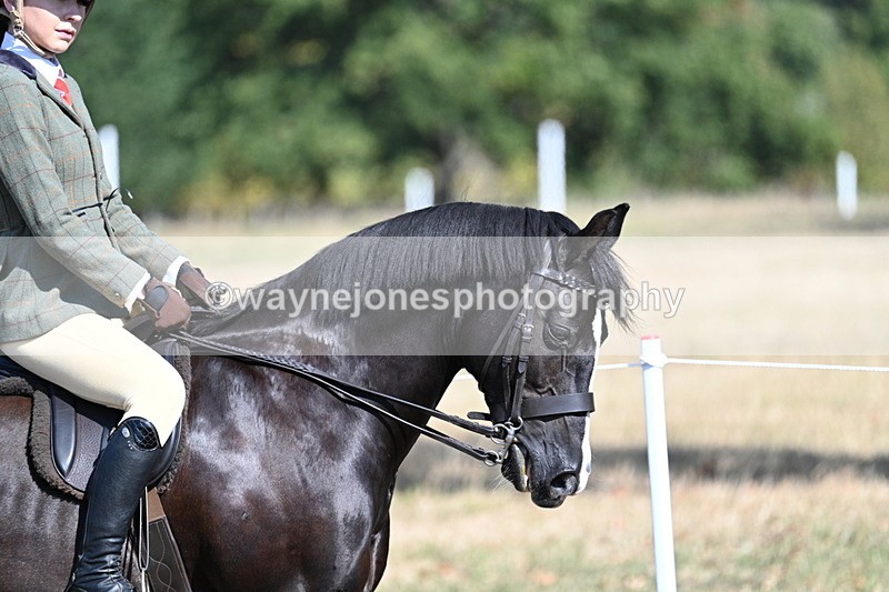 WJ7_3459 - Class 9 Mountain & Moorland Ridden