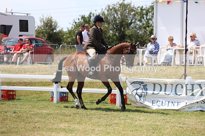 3E7A9303 - Class 12: Open Racehorse to Show Horse