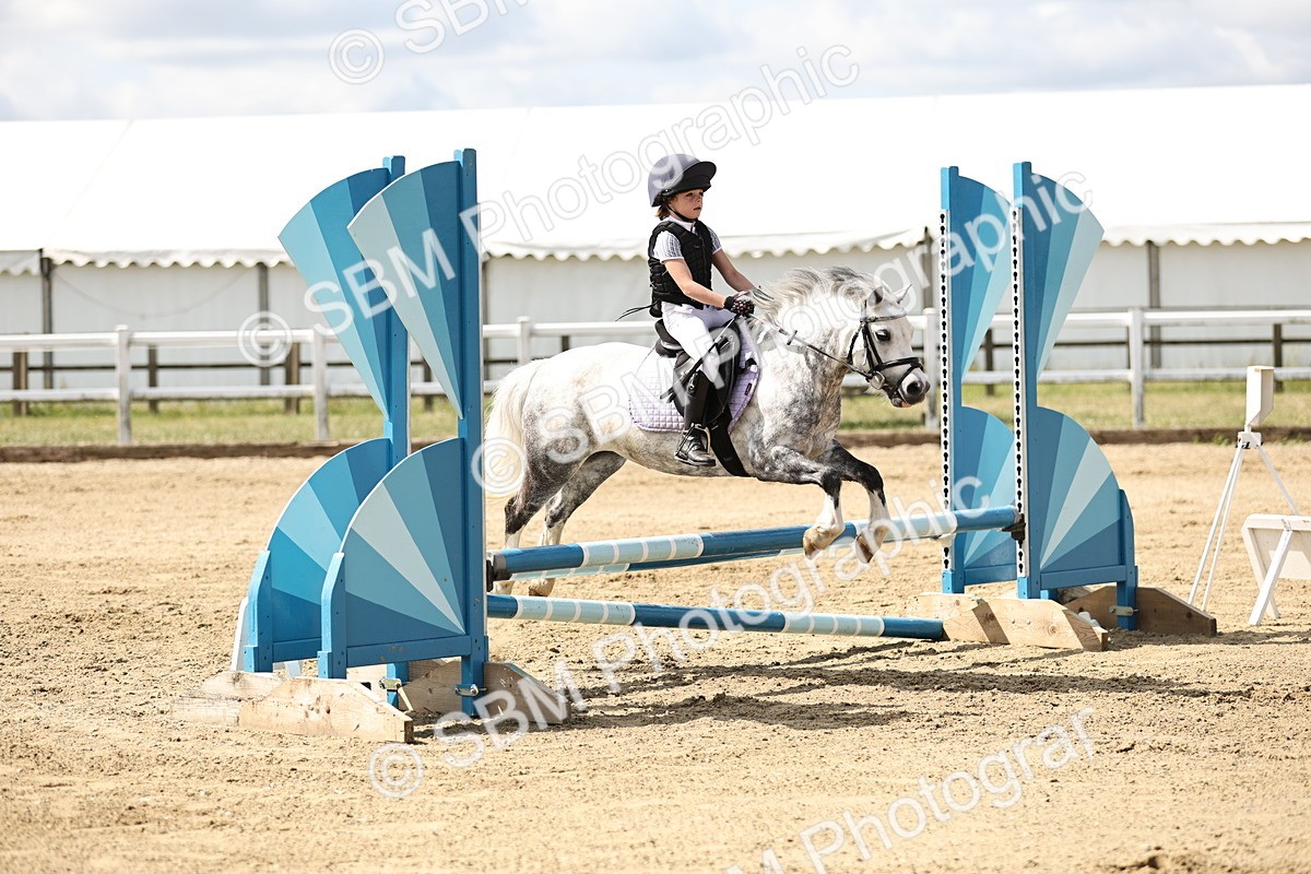 SBM_004051 - 60cm showjumping