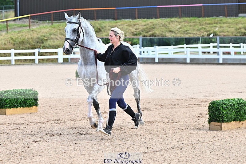240718A-105236-00901 - Trot Up 11am to 12pm