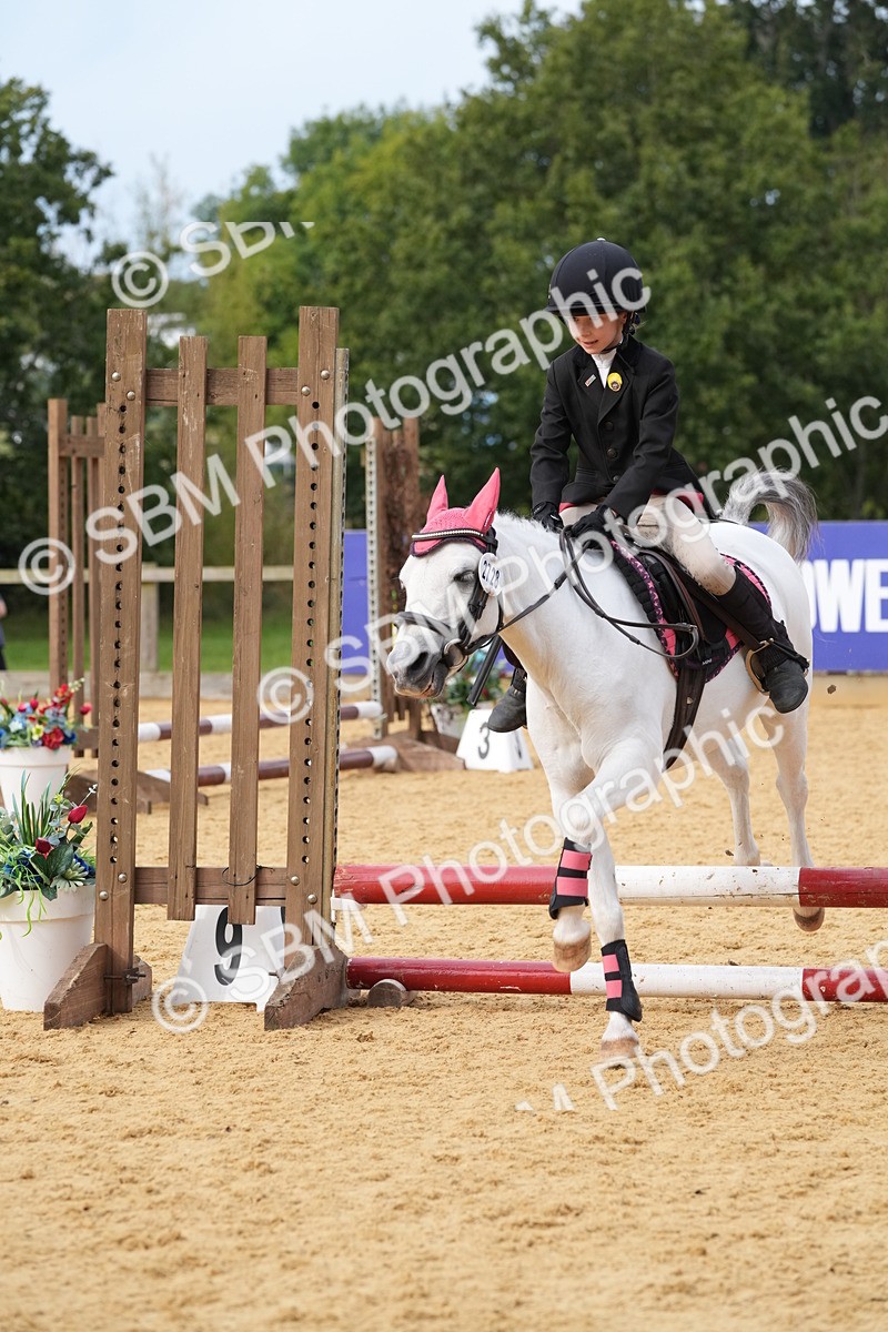 SBM_70584 - J3 - Mini Tour Junior Pony 40cm Championship