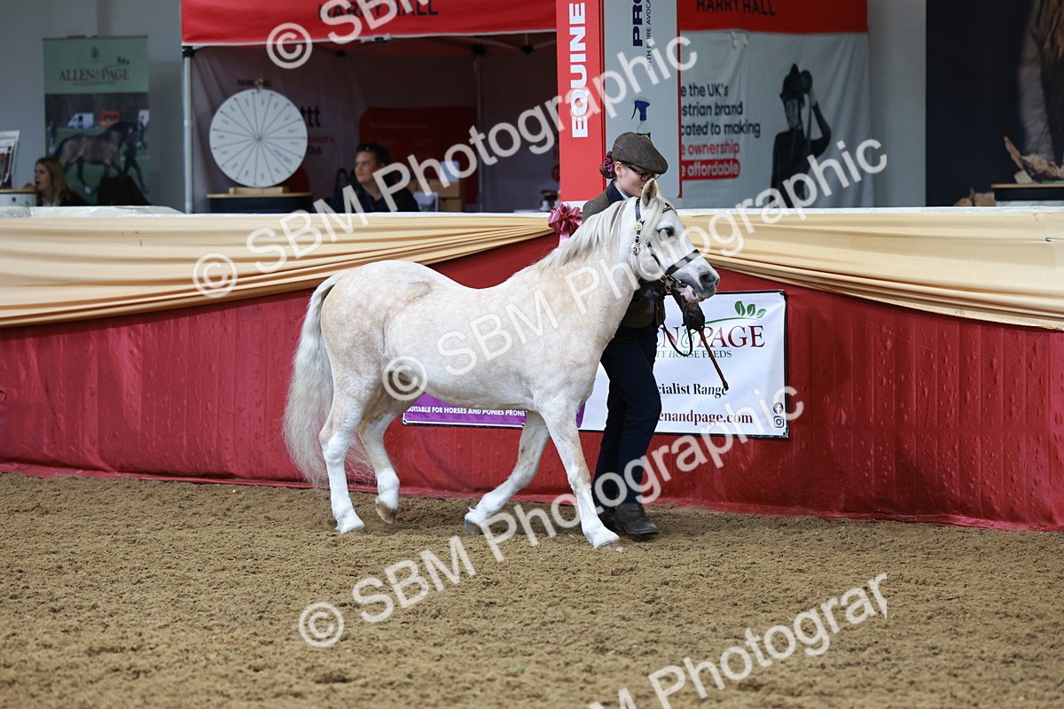 SBM_17299 - Class 951 - M&M IH Supreme Final