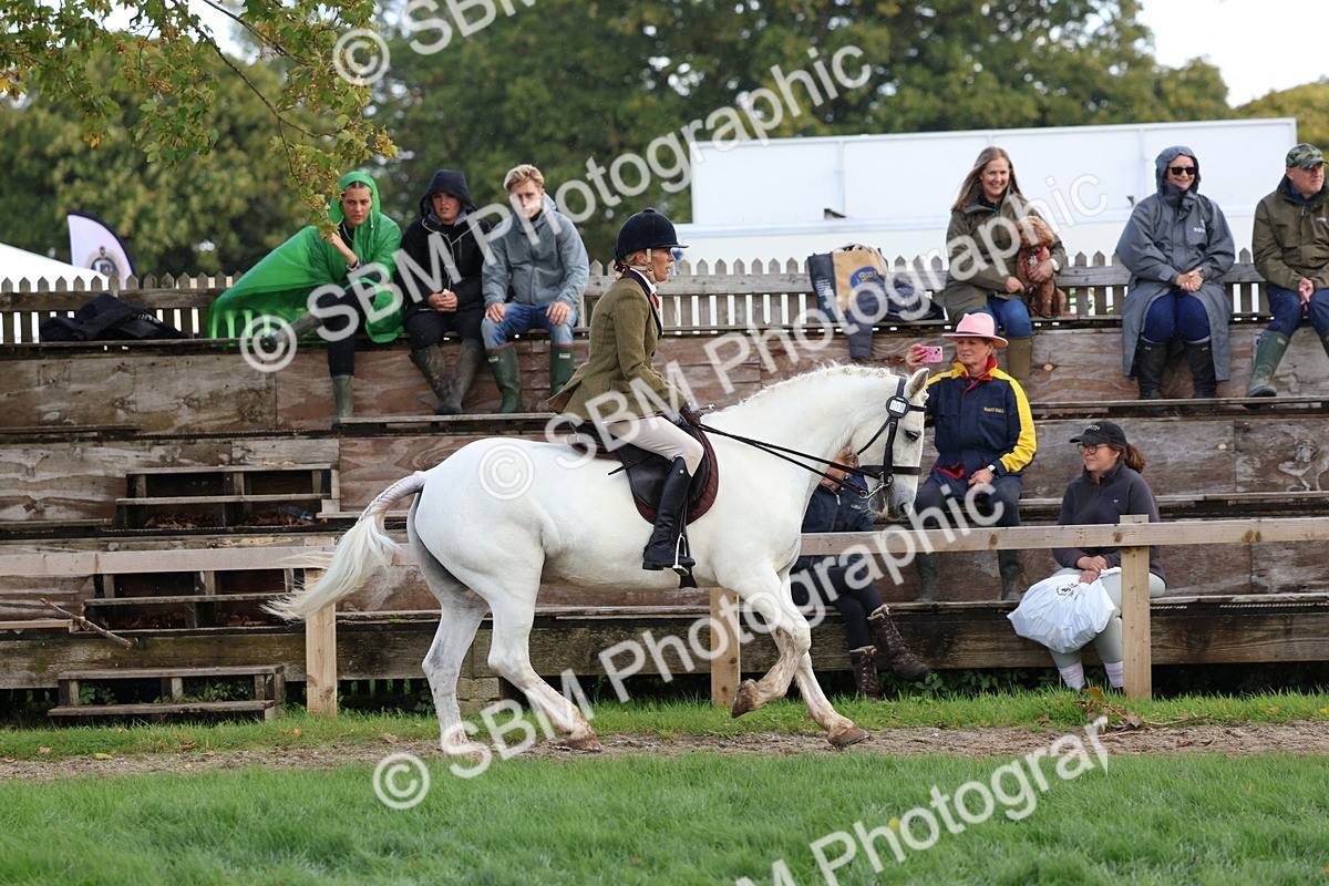 SBM_47659 - S28 - Veteran Ridden